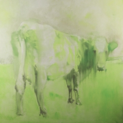 AHM-70x70-oil-painting-2026
