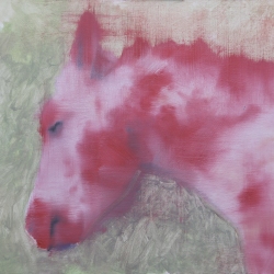 Il-cavallo-di-Torino-oil-painting-40x50-2026