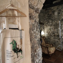 Casa d'Artista