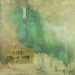 Fiest-Sheep-60x90-oil-painting-2026
