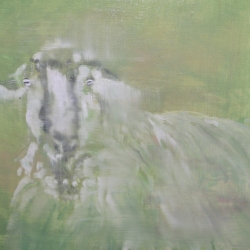 Green-sheep-40x50-oil-painting-2026