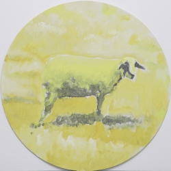 Yellow-sheep-oil-painting-50x50-2026