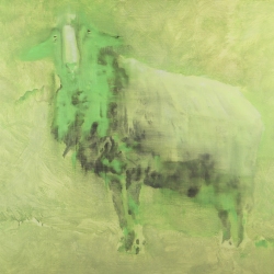green-Sheep-60x90-oil-painting-2026