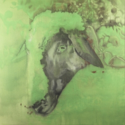 sheeps-head-70x70-oil-painting-2026